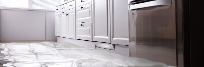 Sealing and Protecting Cabinets