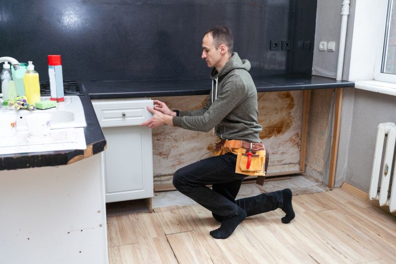 Kitchen Cabinet Repair detail