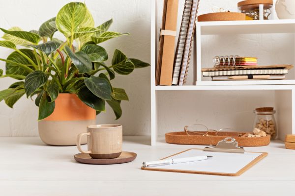 Office Organization Service